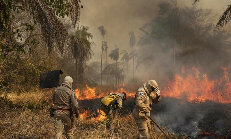 inscricoes para curso de brigadista com bombeiros sao prorrogadas ate 9 de julho