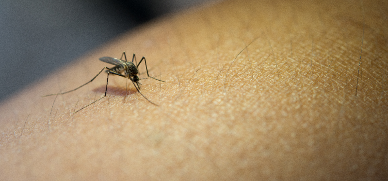 portas fechadas sao o maior desafio da prefeitura no combate a dengue