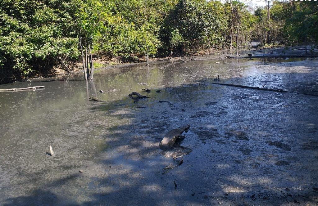 sema aplica multa de r 1 milhao em empresa de sorriso por poluir rio celeste