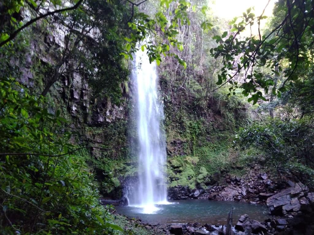 sema e comite visitam areas degradas na reserva do cabacal