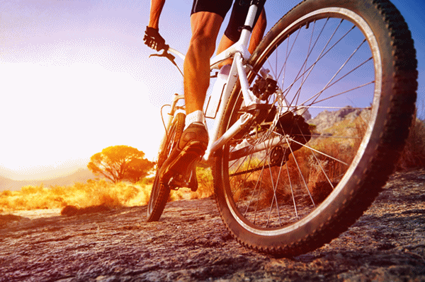 5 cuidados com a bike antes do passeio 3 correto 1a