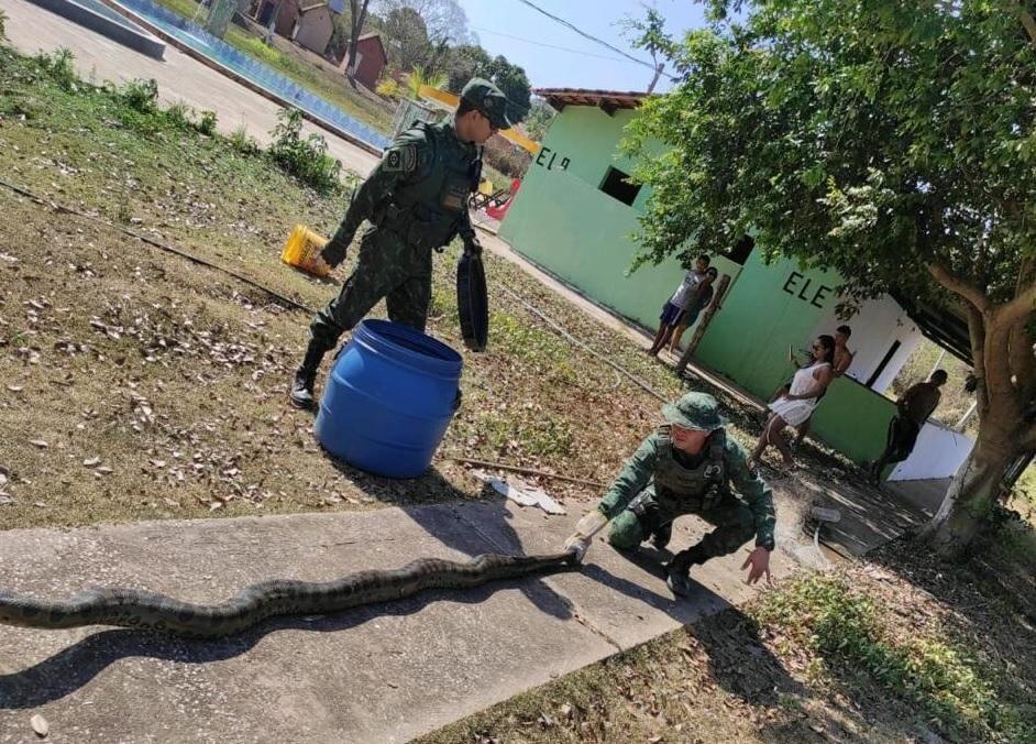 batalhao ambiental resgata sucuri encontrada dentro de tanque pesqueiro em acorizal