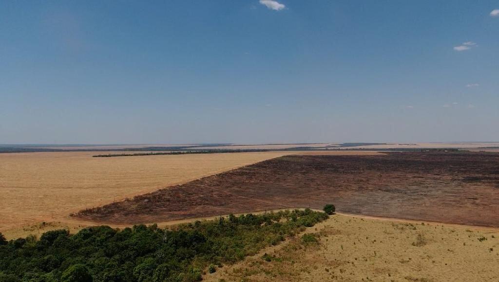 bombeiros aplicam multa de r 3 4 milhoes por uso de fogo durante periodo proibitivo