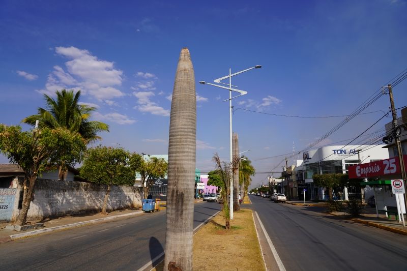 canteiros centrais de lucas do rio verde serao revitalizados