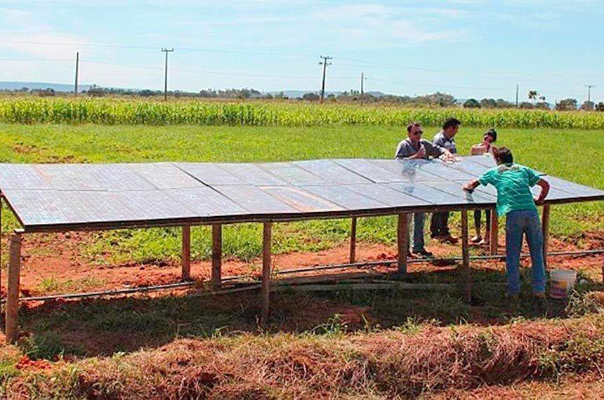 comissao de agricultura avalia exploracao de energia eolica e solar em assentamento