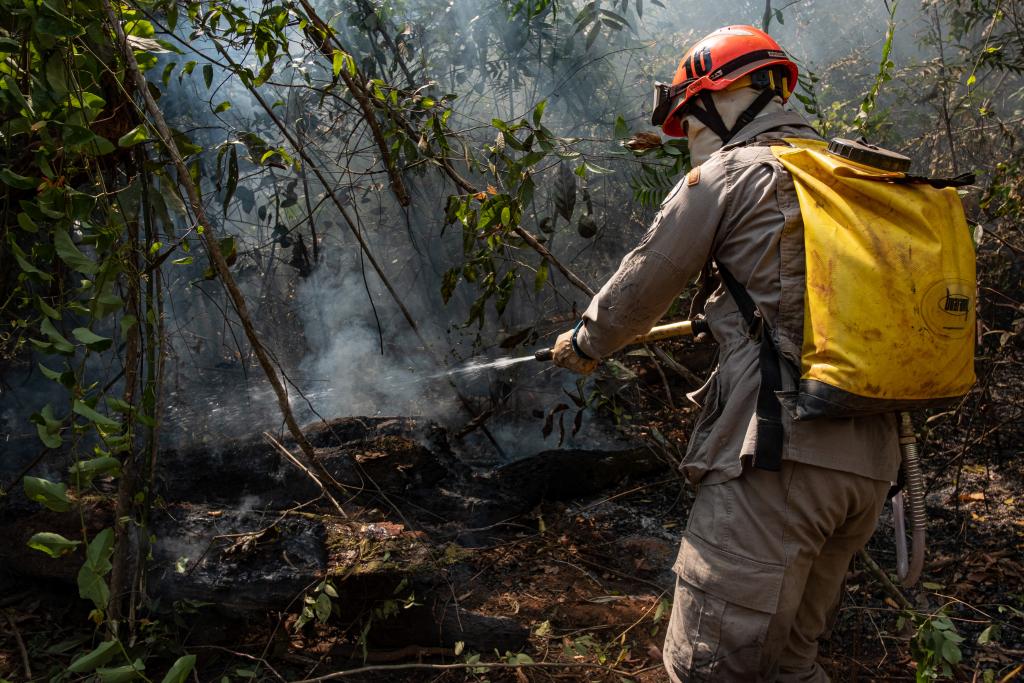 corpo de bombeiros controla incendio na reserva indigena tadarimana