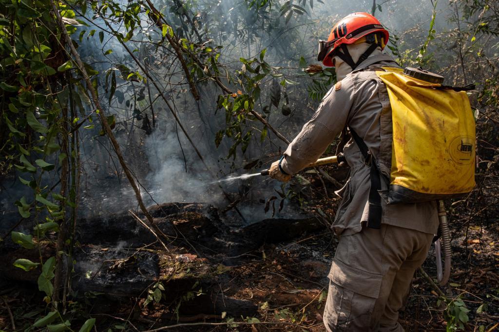 Mato Grosso antecipa planejamento para combate a incêndios florestais em 2025