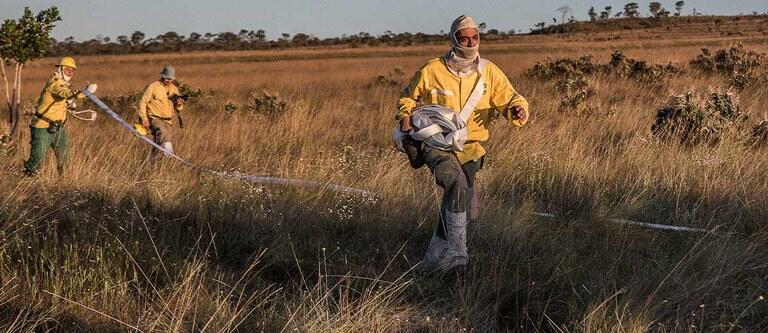 governo federal reforca prevencao a incendios no pantanal