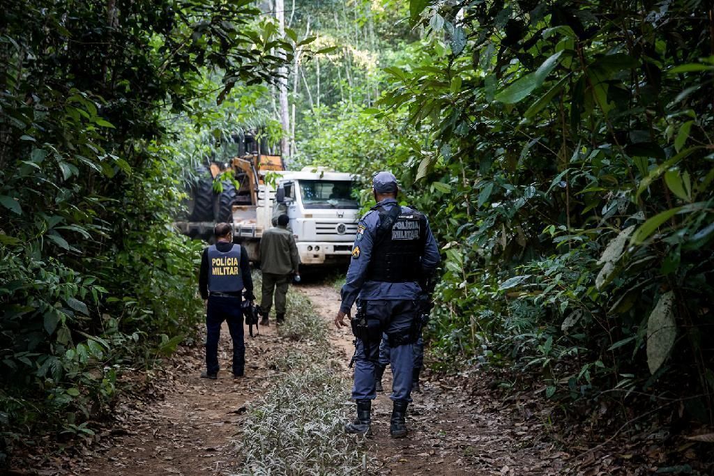 mato grosso reduz 60 dos alertas de desmatamento com acoes da operacao amazonia