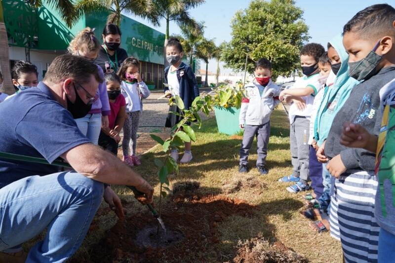 meio ambiente ensina criancas a plantar arvores na semana do bebe