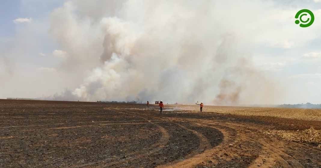 incêndios reacendem mitos sobre o agronegócio em Mato Grosso