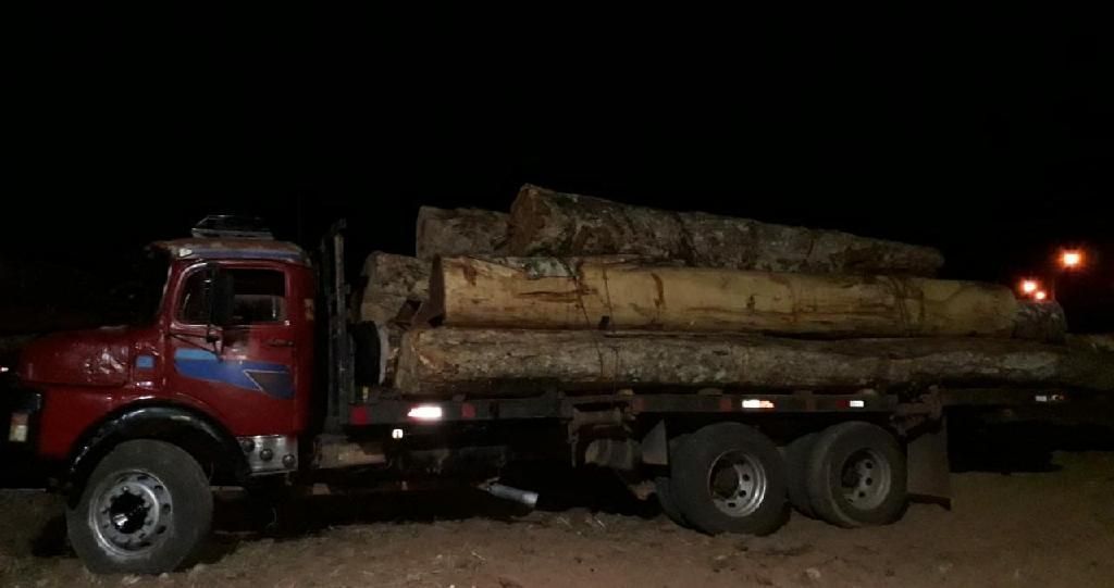 batalhao ambiental prende motoristas e apreende madeira ilegal em marcelandia