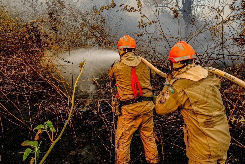 corpo de bombeiros combate incendio em vegetacao de chapada dos guimaraes