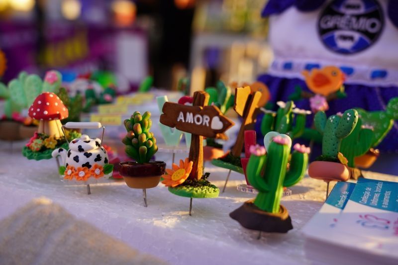 feira do artesao reuniu luverdenses no lago ernani machado no ultimo domingo