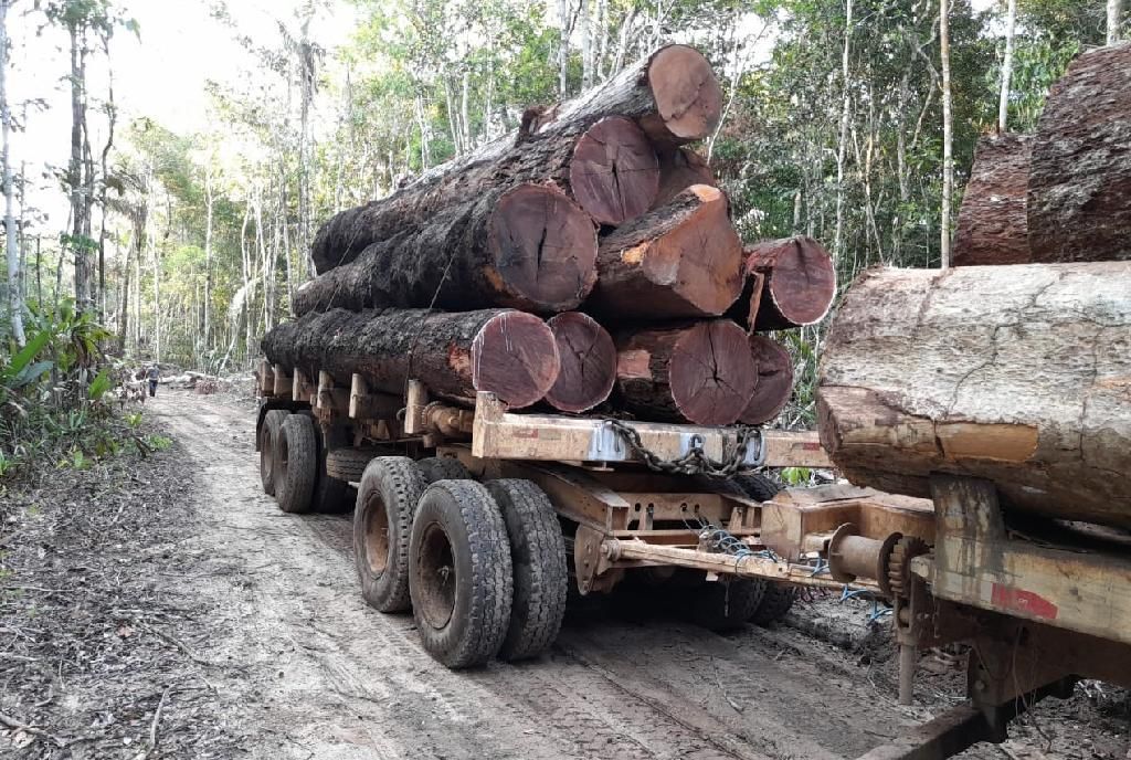 fiscais da sema mt flagram desmatamento ilegal em unidades de conservacao em colniza