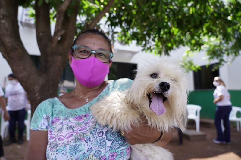 mais de 11 700 caes e gatos sao vacinados contra a raiva em lucas do rio verde