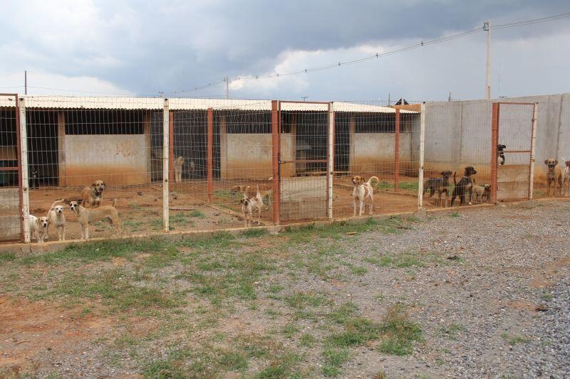 saae e obras auxiliam alpatas com estragos da chuva