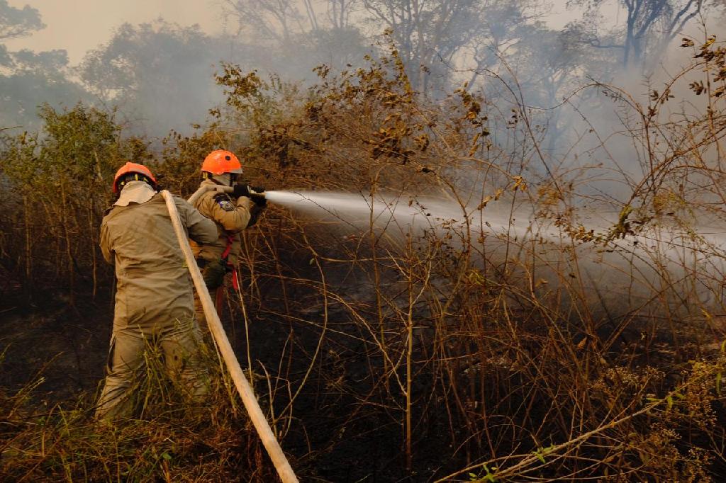acoes do governo de mt agilizaram combate aos incendios no pantanal