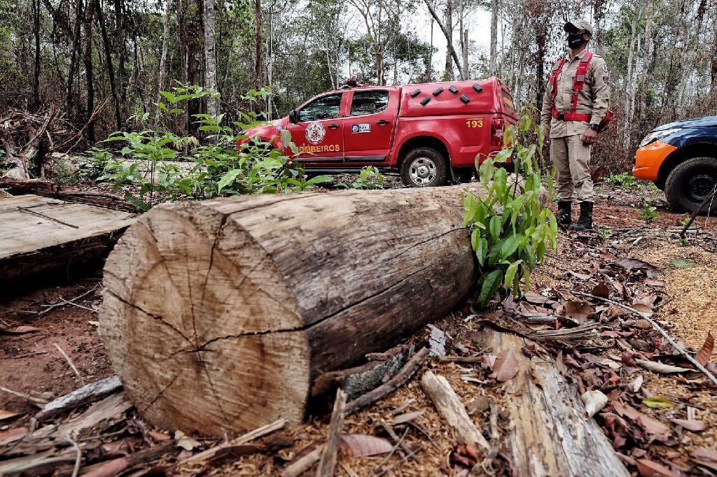 corpo de bombeiros deflagra operacao para combater o desmatamento ilegal em seis municipios de mt