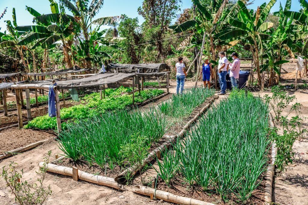 governo facilita abertura de inscricao estadual aos produtores de assentamentos