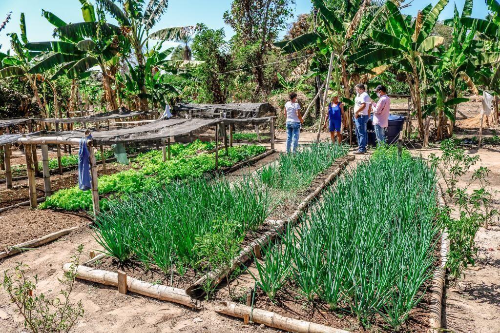 governo facilita abertura de inscricao estadual aos produtores de assentamentos