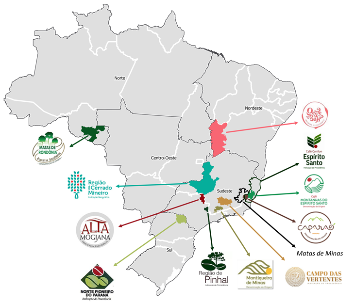No Dia Internacional do Café, conheça tipos únicos da bebida no Brasil 7 no dia internacional do cafe conheca tipos unicos da bebida no brasil