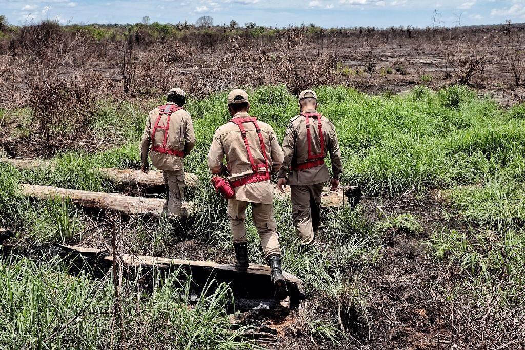 operacao abafa araguaia aplica r 5 7 milhoes em multas