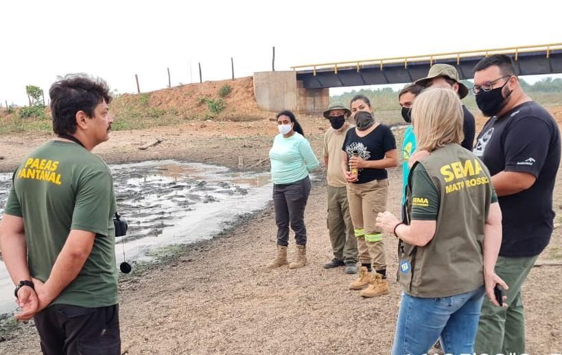 sema colabora com pesquisa sobre condicoes dos jacares no pantanal