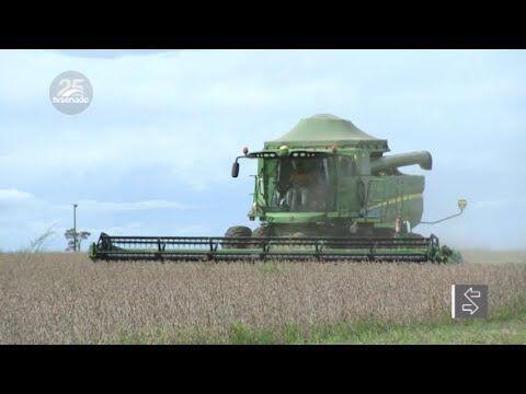 video preservacao do cerrado pode ser aliada da producao agricola dizem debatedores