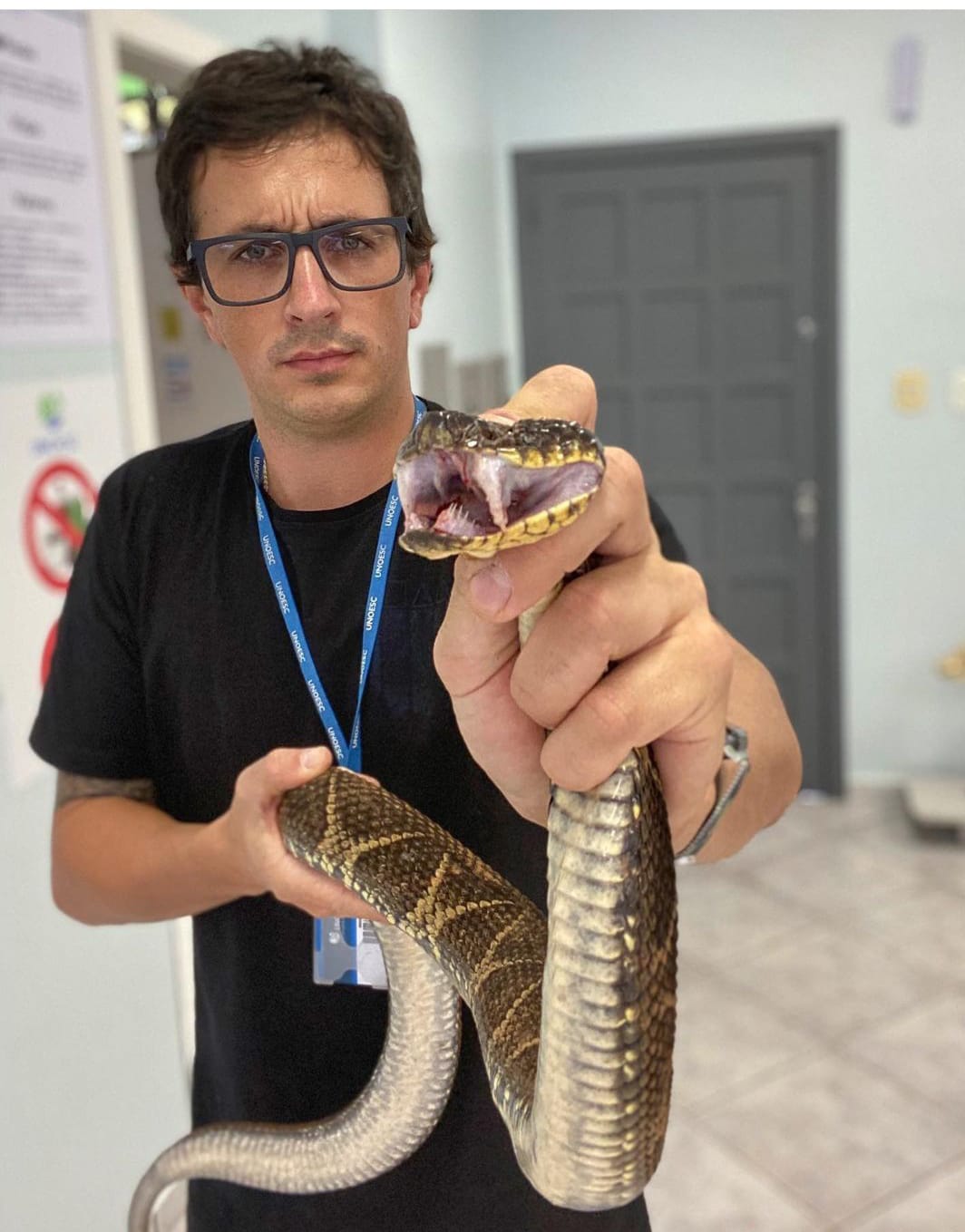 Bothrops jararacussu, conhecida como jararacuçu, jararacuçu-verdadeiro, surucucu, surucucu-dourada, surucucu-tapete, urutu-dourado, urutu-estrela e patrona, é uma víbora venenosa da família dos viperídeos