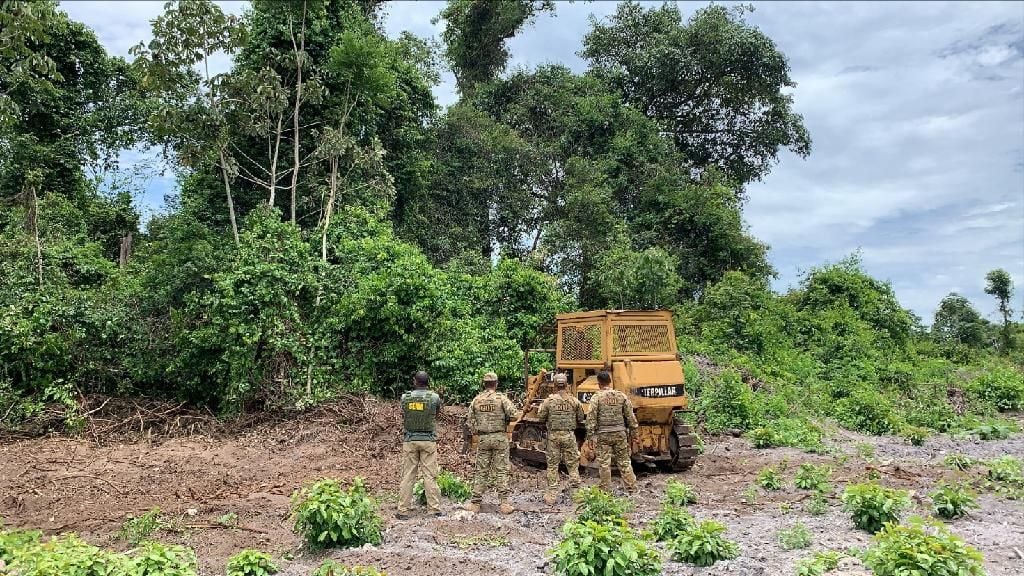 estado aplica r 44 9 milhoes em multas ambientais durante operacao amazonia no araguaia