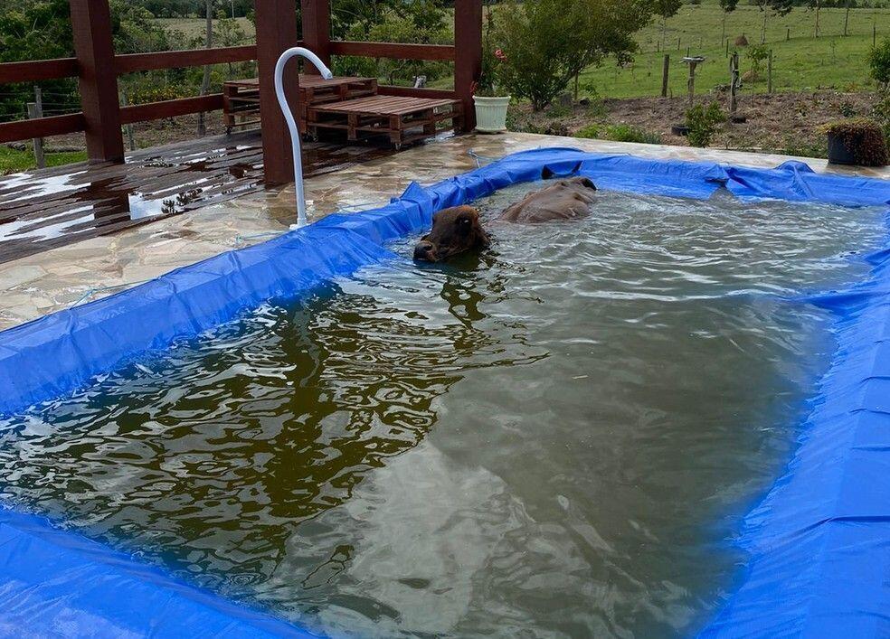 piscina