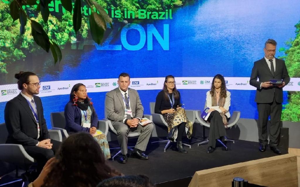 primeiro projeto de redd de mato grosso auxiliou na reducao do desmatamento