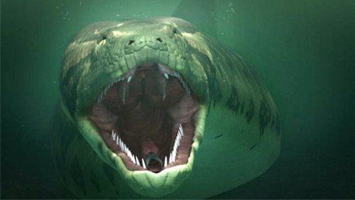 Mundo Animal A Titanoboa um monstro gigantesco viveu h 50 milhes de anos e era to grande que podia esmagar e devorar crocodilos pr histricos