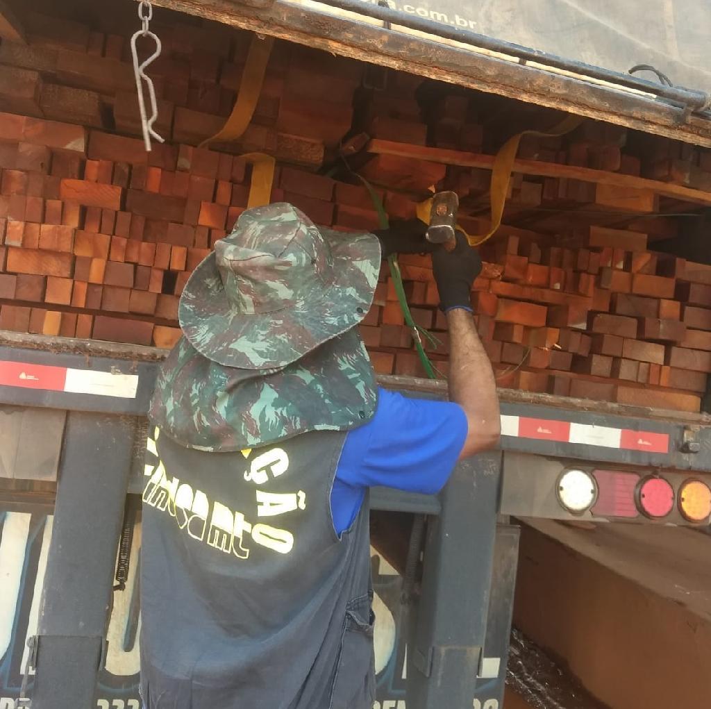 acoes conjuntas do indea geram apreensao de 342 caminhoes com transporte ilegal de madeira