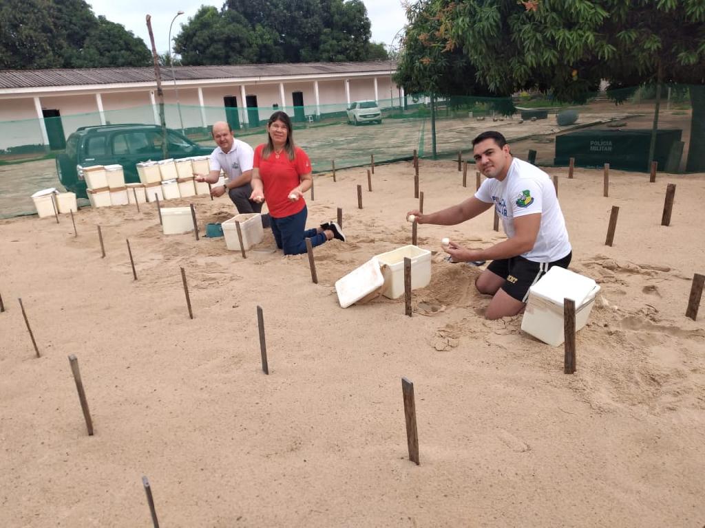 mais de 200 mil tartarugas ja foram soltas no araguaia pelo projeto amigos da natureza