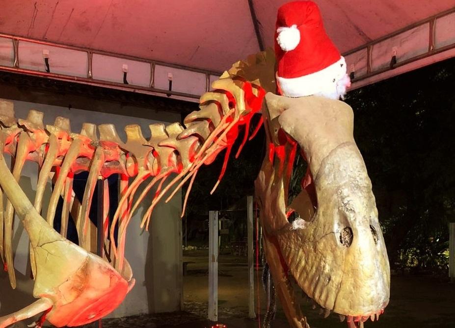 museu de historia natural recebe decoracao natalina e estende horario de atendimento ao publico
