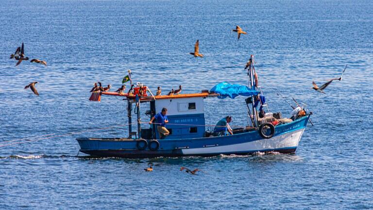 pescadores profissionais devem fazer seu recadastramento on line ate setembro