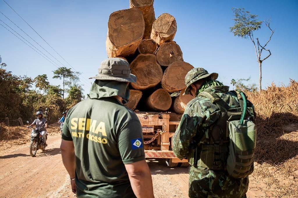 sema bloqueia 72 empreendimentos em sistema por suspeita de irregularidade no comercio de madeira