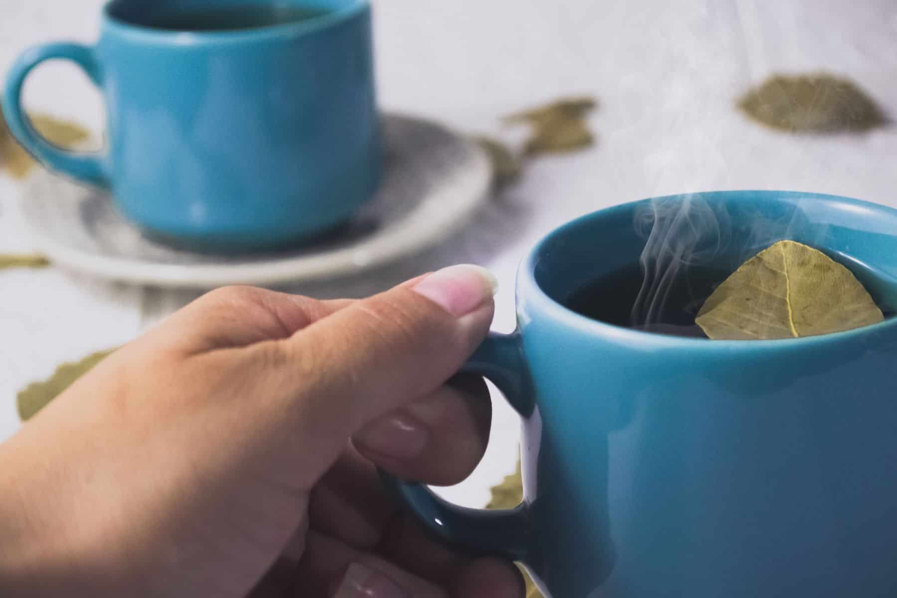 Benefícios do chá de canela com folha de louro