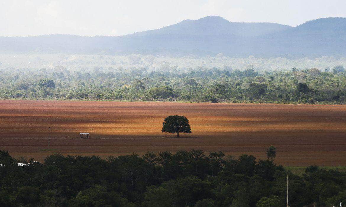 desmatamento do Cerrado