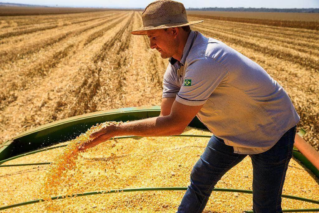 mato grosso lidera producao agropecuaria brasileira por 4 anos consecutivos