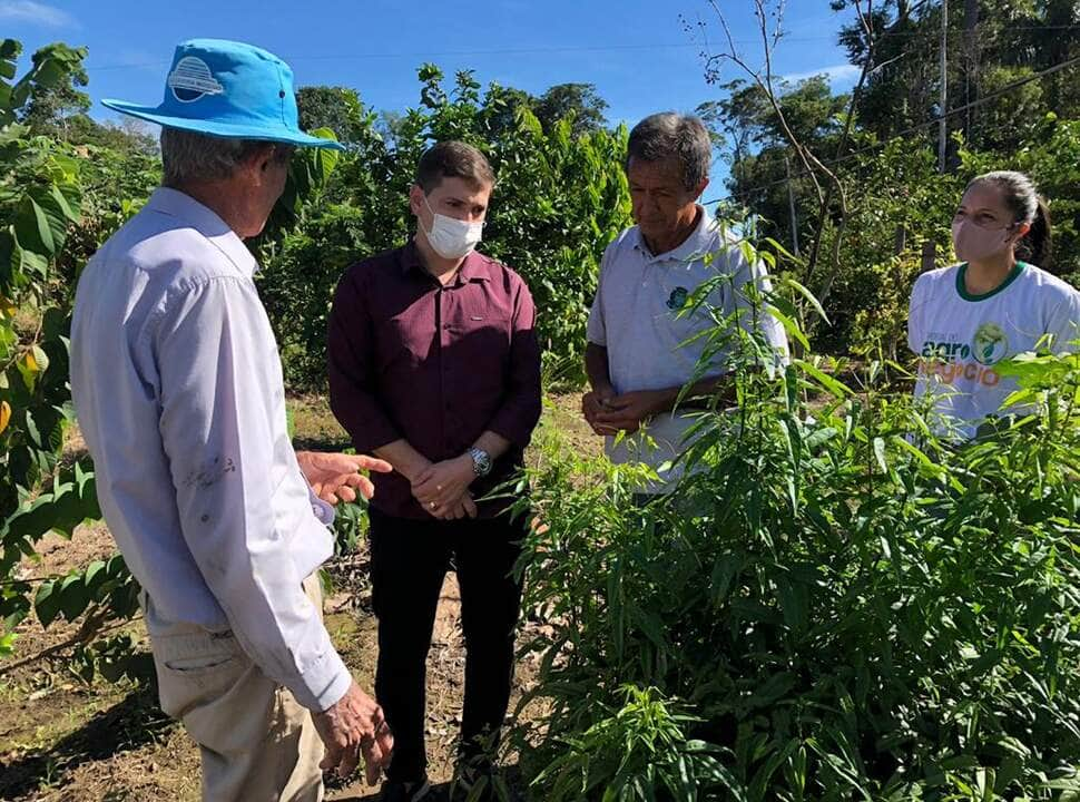 pequenos produtores comemoram melhor produtividade apos ajuda tecnica da prefeitura