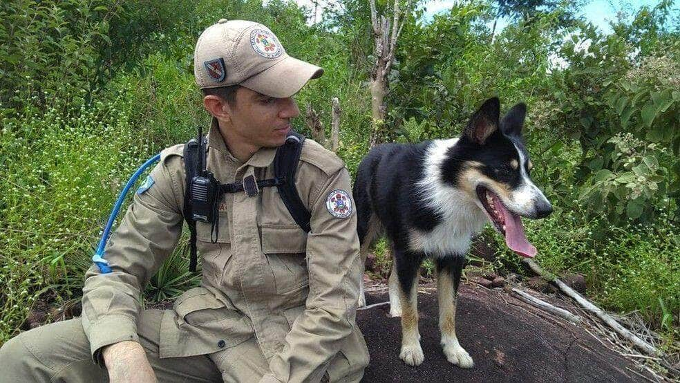 Cão farejador de Sorriso viaja para Petrópolis