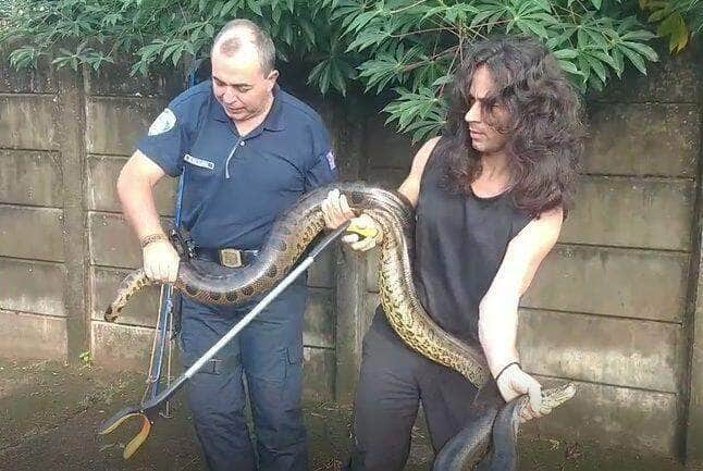 Estas cobras vivem perto de córregos, rios e lagos. Apesar de não serem ágeis em ambiente terrestre, elas são muito rápidas dentro d’água podendo ficar até 30 minutos sem respirar. Possuem hábitos crepusculares e noturnos.