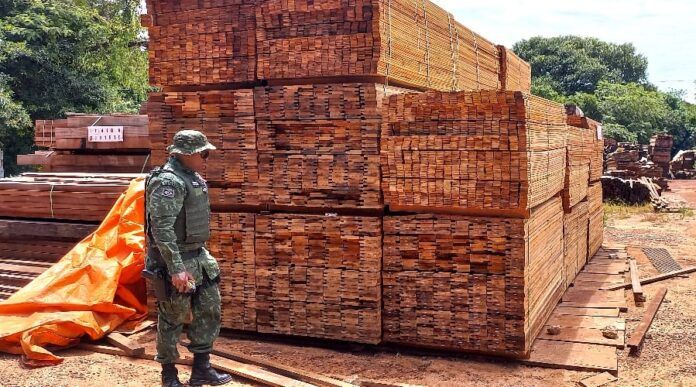 Mais de mil metros cubicos de madeiras apreendidas 696x387 1