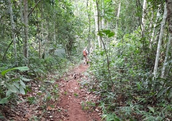 Localizado corpo de homem vítima de homicídio em Nova Mutum 2 a6b621dbda48577449a44c7f2a5e293f