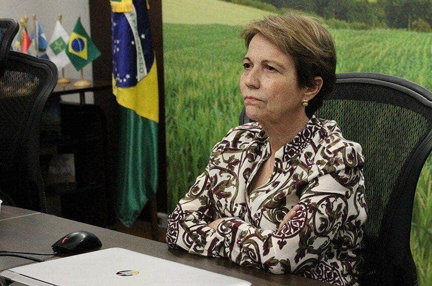 cma pode convocar ministra da agricultura para falar de negacionismo na pauta ambiental