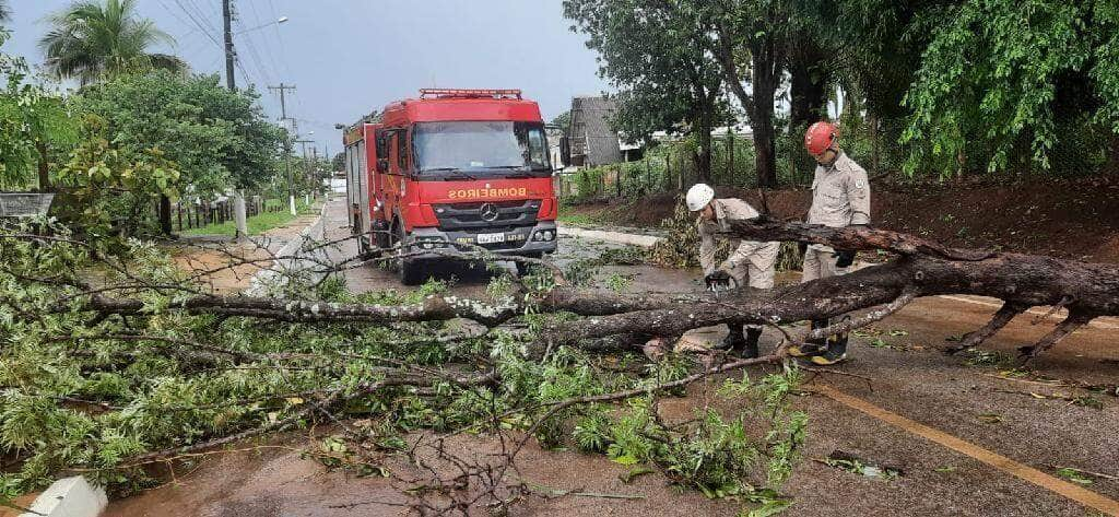 corpo de bombeiros registra mais de 100 ocorrencias de queda de arvores em mato grosso