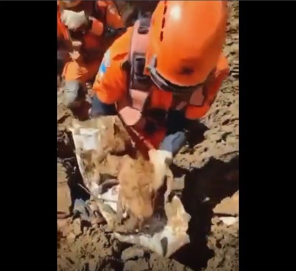 O gato, de acordo com o Corpo de Bombeiros, estava soterrado em meio a lama no Morro da Oficina. O resgate do felino foi registrado no fina da manhã desta quarta-feira (22).